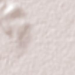 Cinco de Mayo Terrain Map