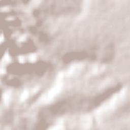 Emilio Carranza Terrain Map