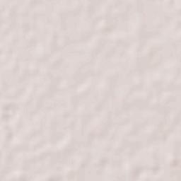 Cinco de Febrero Terrain Map