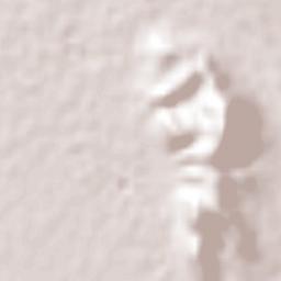 El Arenal Terrain Map