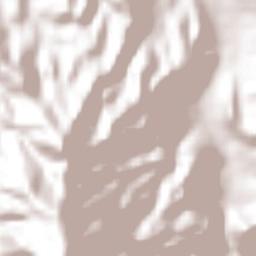 La Aldea Terrain Map