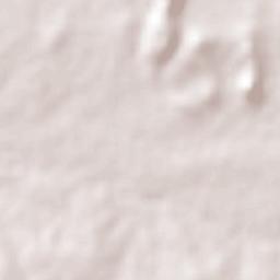 El Carrizo Terrain Map