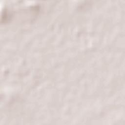 Victoria de Durango Terrain Map