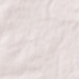 Khilchipur Terrain Map