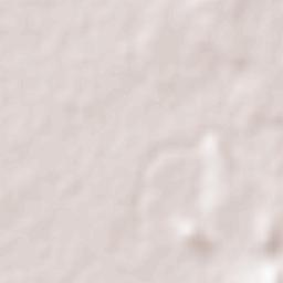 Villa Unión Terrain Map