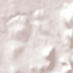 San Atenógenes (La Villita) Terrain Map