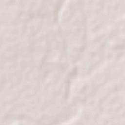 Nicolás Bravo Terrain Map