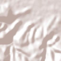 El Nayar Terrain Map