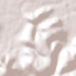 Sebastián Lerdo de Tejada Terrain Map