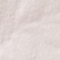 Ejido Zaragoza Terrain Map