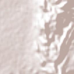 La Agüita Terrain Map