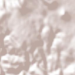 Banderas del Águila Terrain Map