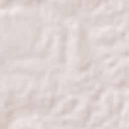 El Saladito Terrain Map