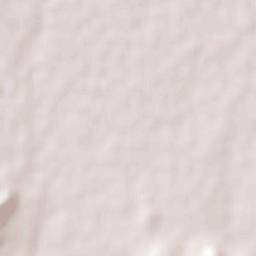 José María Pino Suárez Terrain Map