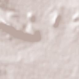 El Fuerte Terrain Map