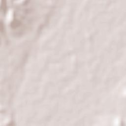 Piaxtla de Abajo Terrain Map