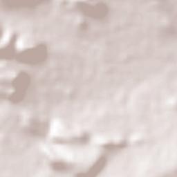 Colonia Francisco García Salinas Terrain Map