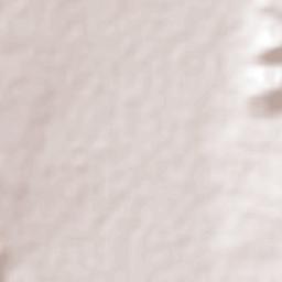 San Mateo Doctor Arroyo Terrain Map