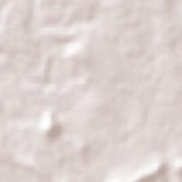 Tampiquito Terrain Map