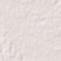 Ranir Bazar Terrain Map