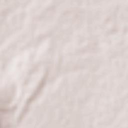 La Misión Terrain Map