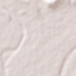 Soto la Marina Terrain Map