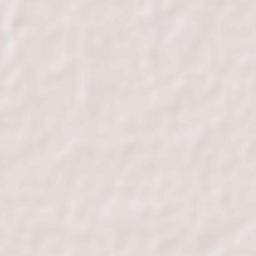 Ramnagar Terrain Map