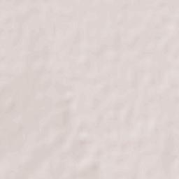 San Francisco Javier Terrain Map