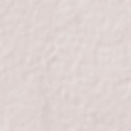 Vicente Guerrero Terrain Map