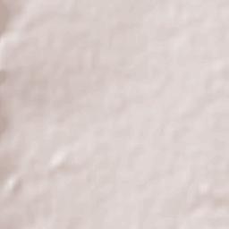 Ciudad Victoria Terrain Map