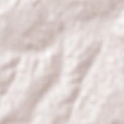 Emiliano Zapata Terrain Map