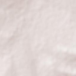 Cañitas de Felipe Pescador Terrain Map