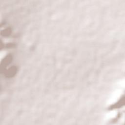 La Lobera de Portillo Terrain Map