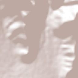 Miquihuana Terrain Map