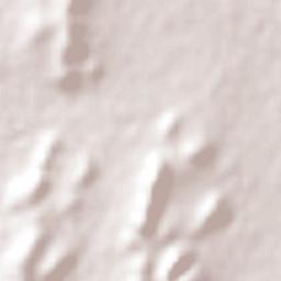 El Dieciséis Terrain Map