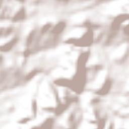 Las Palomas Terrain Map