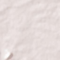 Raghunathpur Terrain Map