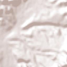 San Francisco del Mezquital Terrain Map