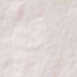 Lázaro Cárdenas (Rancho Grande) Terrain Map