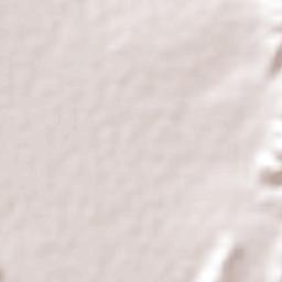 San Antonio de Alamitos Terrain Map