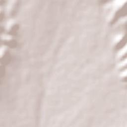 Pedro Ibarra Hernández Terrain Map