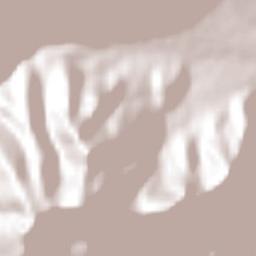 Bustamante Terrain Map