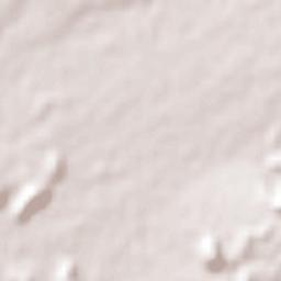 El Pescadero Terrain Map