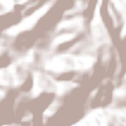 San Bernardino de Milpillas Chico Terrain Map