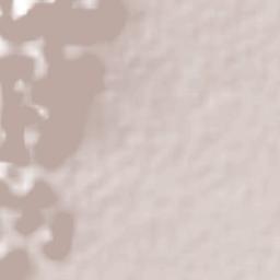 Seis de Enero Terrain Map