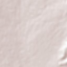 Jesús María del Terrero Terrain Map