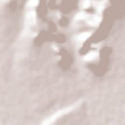 Colonia Montemariana (Colonia Mariana) Terrain Map