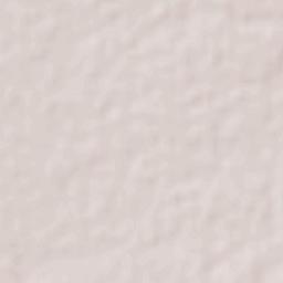 José María Morelos Terrain Map