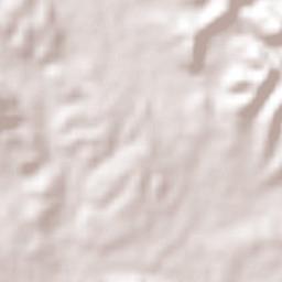 Concordia Terrain Map