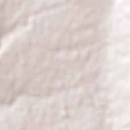 Palmillas Terrain Map